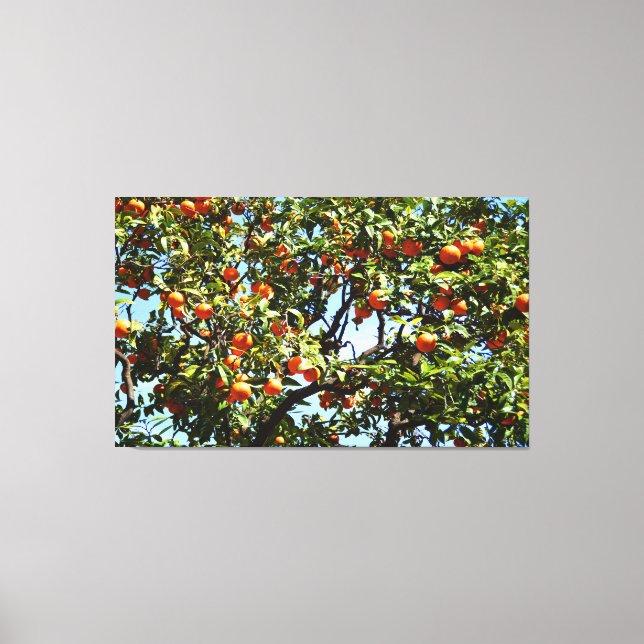 Orange tree canvas print (Front)