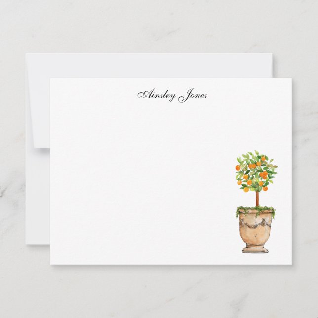 Orange tree citrus topiary Illustration Notes (Front)