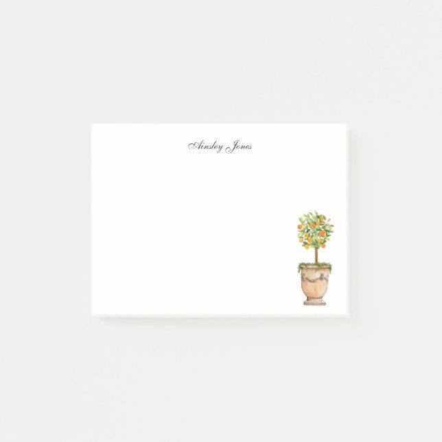 Orange tree citrus topiary  post-it notes (Front)