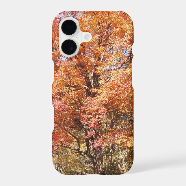 Orange Trees (Back)