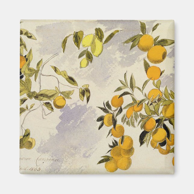 Orange Trees, 1863 (w/c, pen and ink over graphite Magnet (Front)