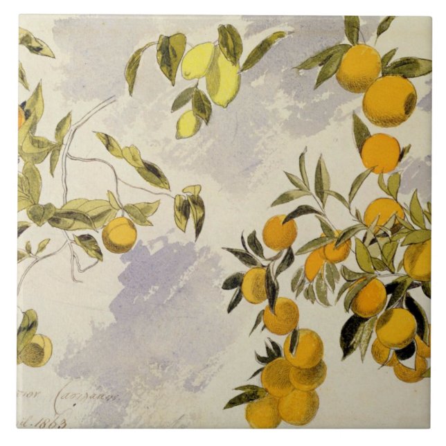 Orange Trees, 1863 (w/c, pen and ink over graphite Tile (Front)