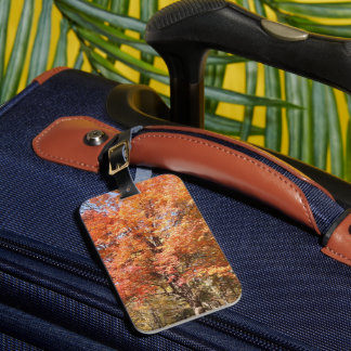 Orange Trees Luggage Tag