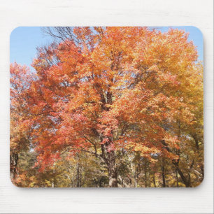 Orange Trees Mouse Pad