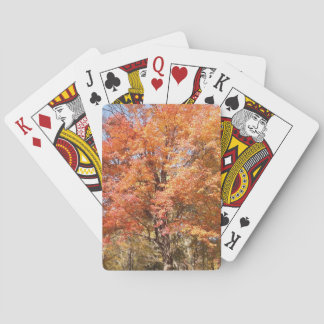 Orange Trees Playing Cards