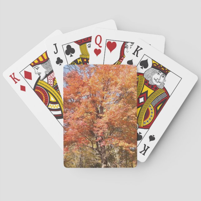 Orange Trees Playing Cards (Back)