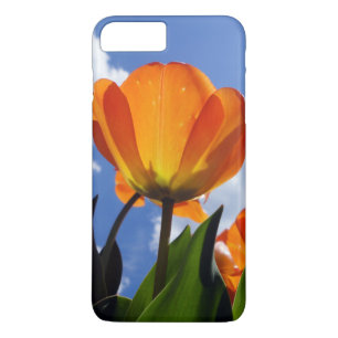 Orange Tulip, Blue Sky Case-Mate iPhone Case