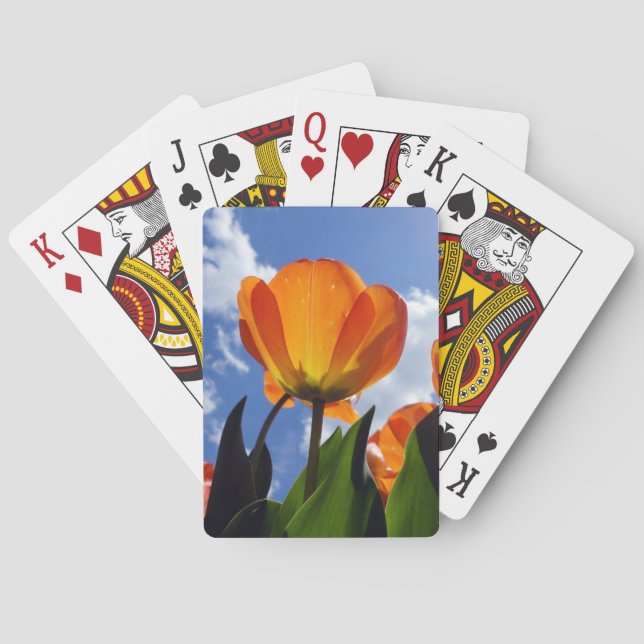 Orange Tulip, Blue Sky Playing Cards (Back)