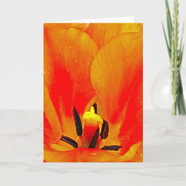 Orange Tulip Card (Front)
