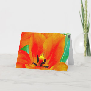Orange Tulip Card