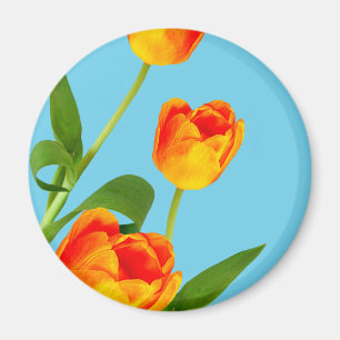 Orange Tulip Magnet
