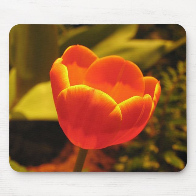 Orange Tulip Mouse Pad (Front)