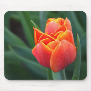 Orange Tulip Mouse Pad