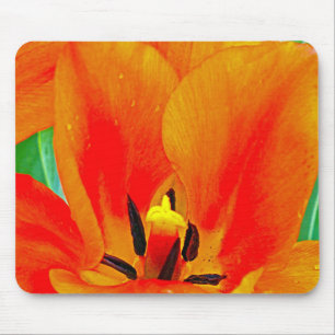Orange Tulip Mouse Pad