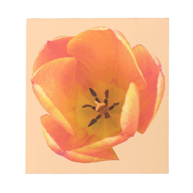 Orange Tulip Notepad (Front)