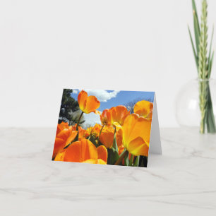 Orange Tulip Reaching for the Sky Note Card