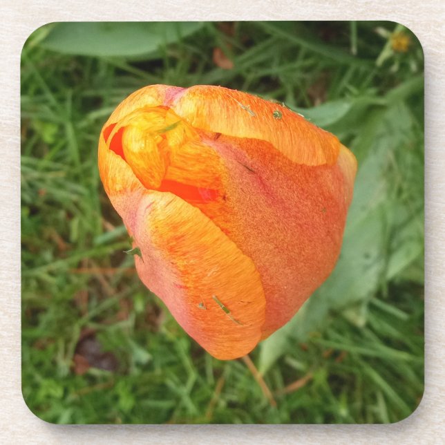 Orange Tulip Silver Bracelete Coaster (Front)