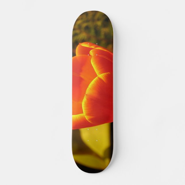 Orange Tulip Skateboard (Front)