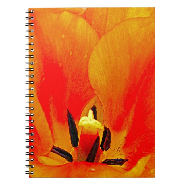 Orange Tulip Spiral Notebook (Front)