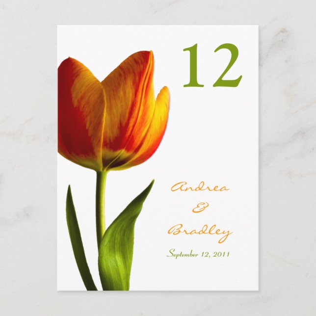 Orange Tulip Table Number Card (Front)