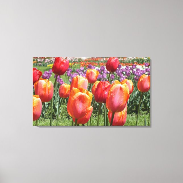 Orange Tulips At Elizabeth Park Wrapped Canvas (Front)