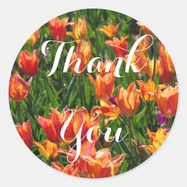Orange Tulips Classic Round Sticker (Front)
