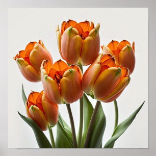 Orange Tulips Flower Art Print Poster