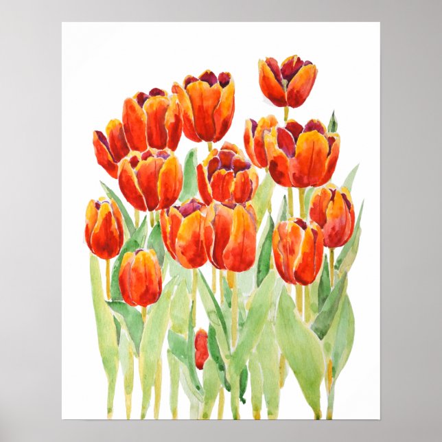 orange tulips  flowers watercolor poster (Front)