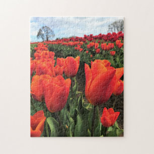 Orange Tulips in a Field, Oregon Jigsaw Puzzle