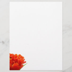Orange Tulips Letterhead