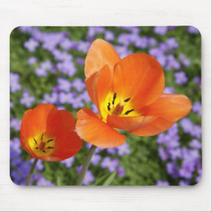 Orange Tulips Mouse Pad