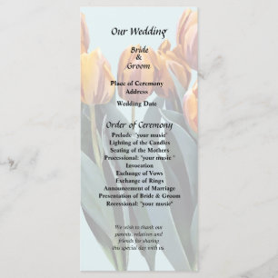 Orange Tulips Programme