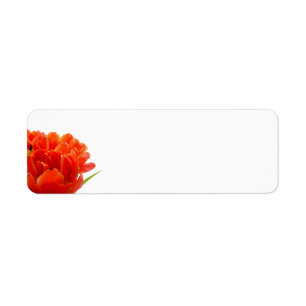 Orange Tulips Return Address Labels