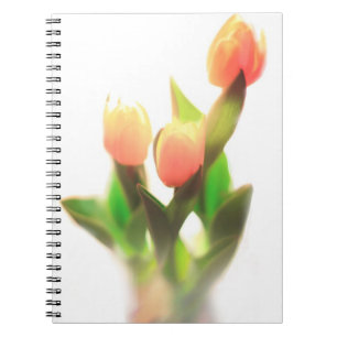 Orange Tulips Spiral Notebook