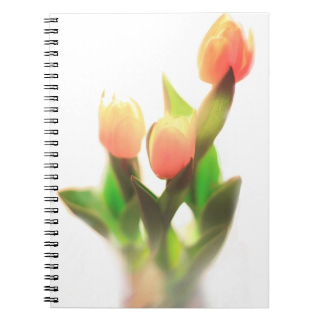 Orange Tulips Spiral Notebook (Front)