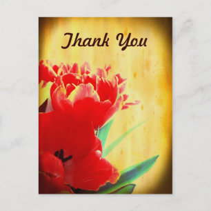 Orange Tulips Thank You Postcards