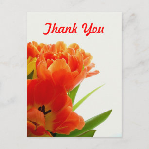 Orange Tulips Thank You Postcards