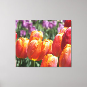 Orange Tulips Wrapped Canvas Print