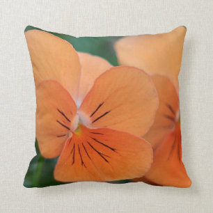 Orange violas cushion