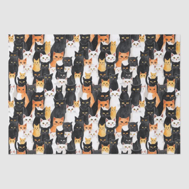 Orange White Black Cats Birthday Tissue Paper (Front)