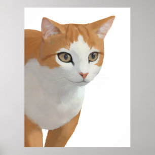Orange & White Cat Portrait Poster
