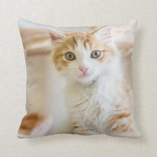 Orange & White Kitten Cushion