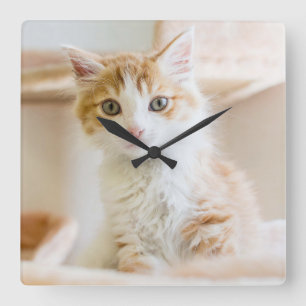 Orange & White Kitten Square Wall Clock