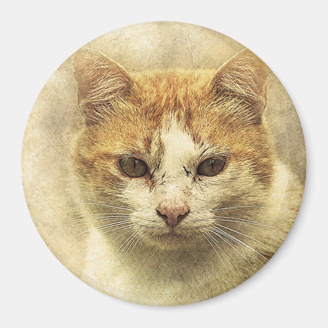 Orange & White Kitty | Abstract | Watercolor Magnet (Front)