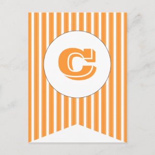 Orange   White Party Flag Bunting Banner Post Card