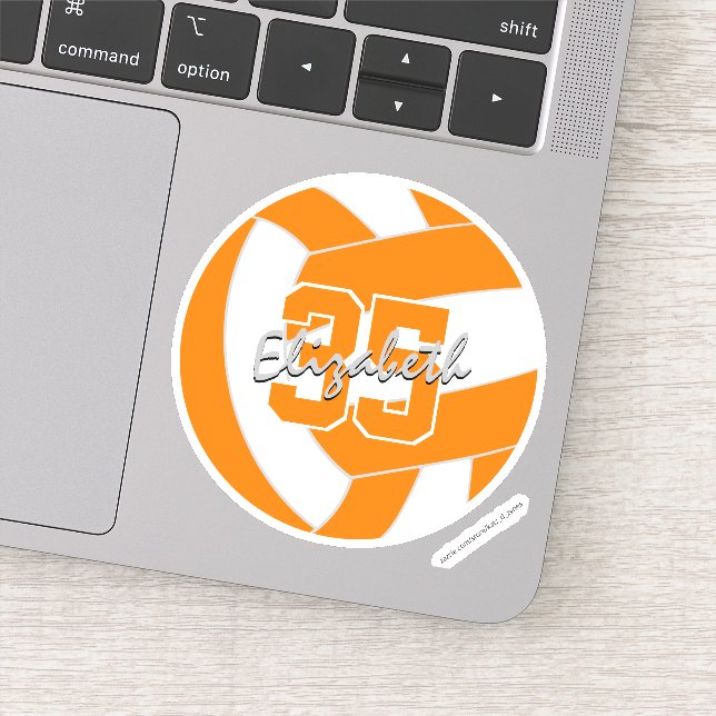 orange white volleyball team colours  (Detail)