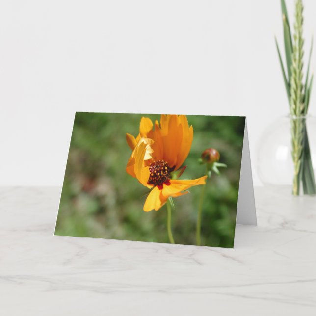 orange wild flower card (Front)