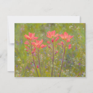 Orange Wildflowers Indian Paintbrush Floral Postcard