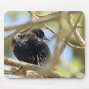 Orange Winged Black Bird Mouse Pad