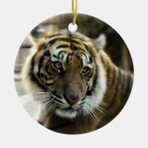 Orange with black stripes Bengal tiger photo Ceramic Tree Decoration